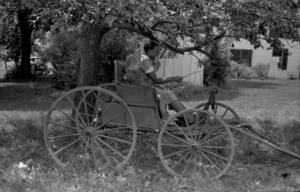 Ada B. Blair with children, Lucy Cross Dunlap and Whitney Dunlap II in buggy, Kentucky, circa 1935-1947