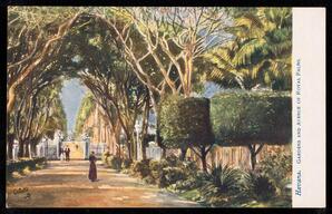 Havana. Gardens and Avenue of Royal Palms