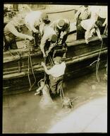 Body being pulled from Chicago River