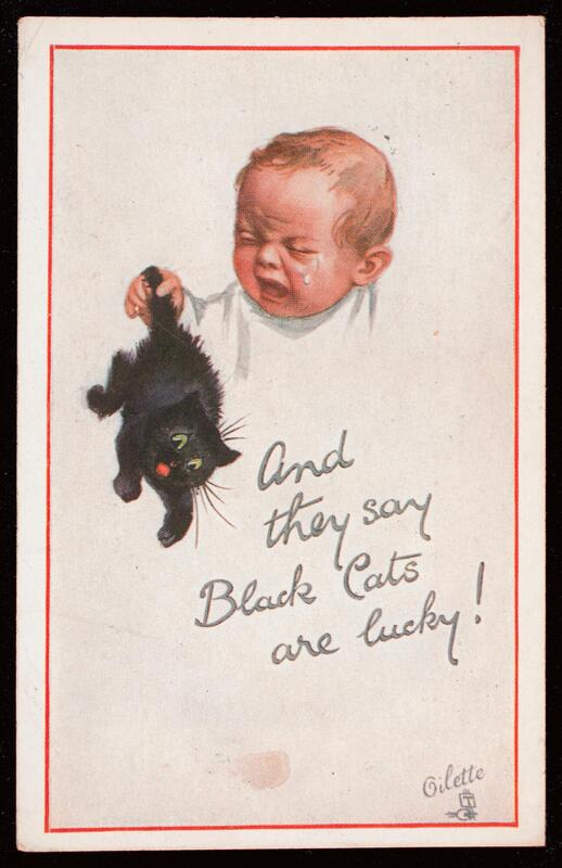 And they say Black Cats are lucky!