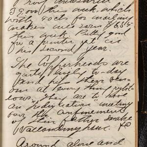 a page of handwritten text