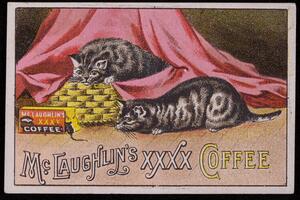Advertising trade cards