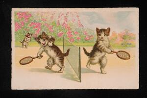 Cats playing tennis