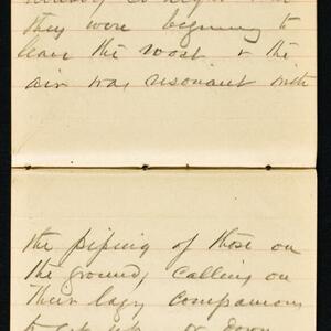 a page of handwritten text