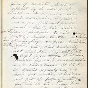 a page of handwritten text