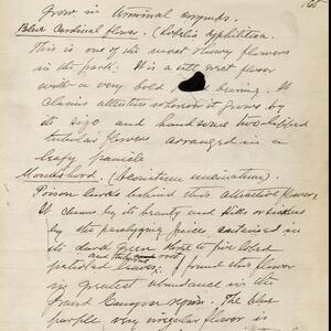 a page of handwritten text