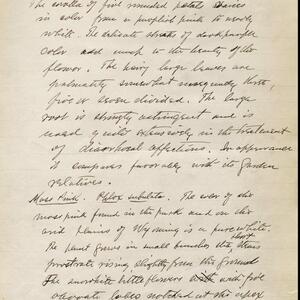 a page of handwritten text