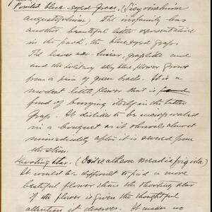 a page of handwritten text