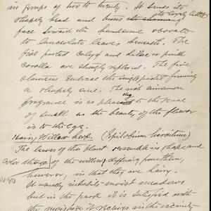 a page of handwritten text