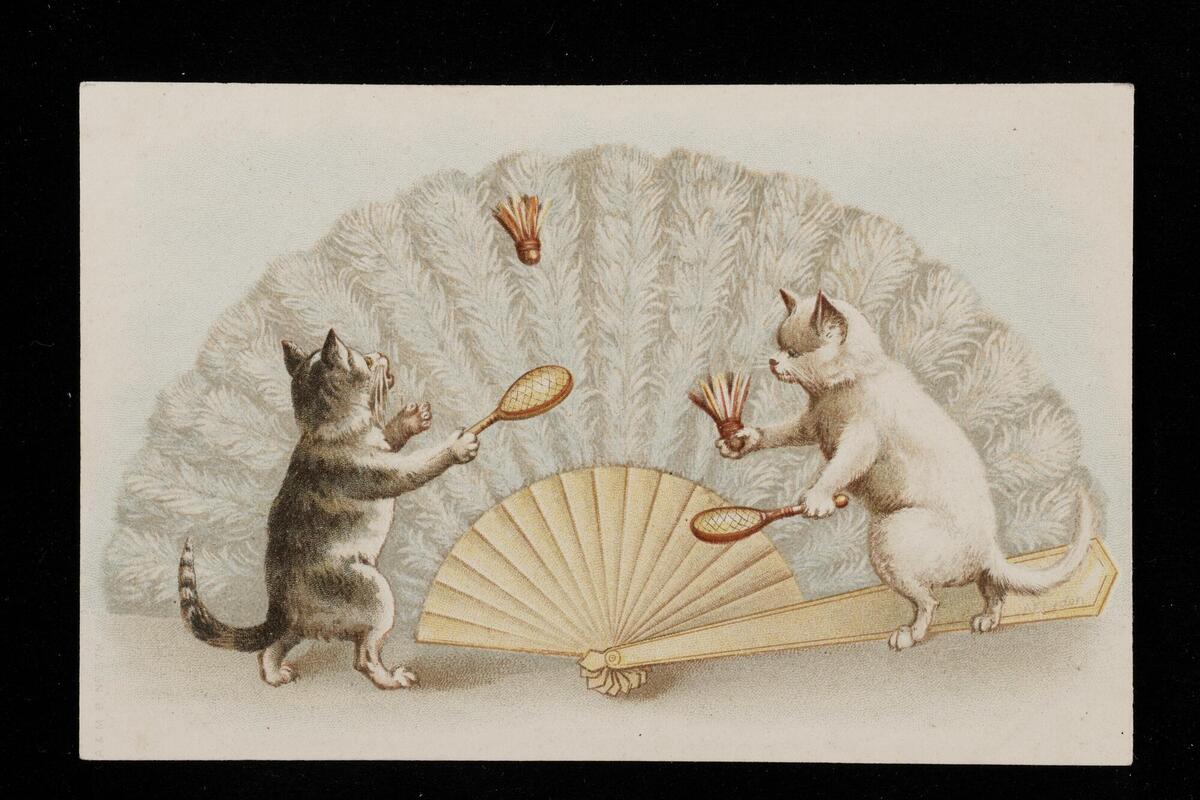 Cats playing badminton